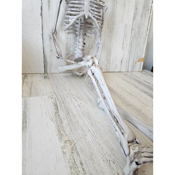 33" jointed hanging skeleton prop - Picture 2 of 9